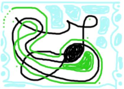 Carrera Prevenci&oacute;n Dorgodependencias